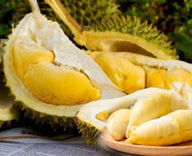 Fresh Durian Fruit