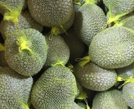 Frozen Durian Fruit